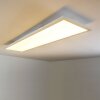 Lerum Ceiling Light LED white, 1-light source, Remote control
