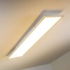 Lerum Ceiling Light LED white, 1-light source, Remote control