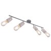 Globo FLECKI SpotLight grey, 4-light sources
