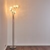 KITEE floor lamp chrome, matt nickel, 6-light sources
