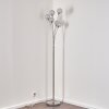 KITEE floor lamp chrome, matt nickel, 6-light sources