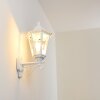 ESTELI Outdoor Wall Light white, 1-light source