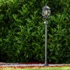 Lentua outdoor Floor Lamp black, 1-light source, Motion sensor