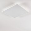 ANTRIA Ceiling Light LED white, 1-light source