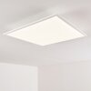 ANTRIA Ceiling Light LED white, 1-light source