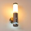Walise Outdoor Wall Light stainless steel, 1-light source, Motion sensor