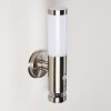 Walise Outdoor Wall Light stainless steel, 1-light source, Motion sensor