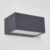 Outdoor Wall Light Spidern LED anthracite, 1-light source