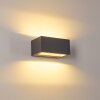 Outdoor Wall Light Spidern LED anthracite, 1-light source