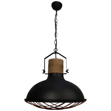 Brilliant EMMA Pendant Light black, 1-light source