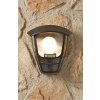 Philips myGarden CREEK wall light black, transparent, clear, 1-light source