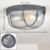 HANALEI Ceiling Light grey, 1-light source