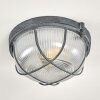 HANALEI Ceiling Light grey, 1-light source