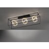 Ceiling Light Fischer & Honsel premium Gesa LED black, 1-light source