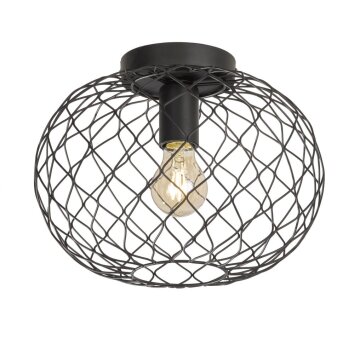 Ceiling Light Fischer & Honsel living Justin black, 1-light source