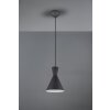 Reality ENZO Pendant Light LED black, 1-light source