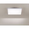 Ceiling Light Paul Neuhaus FRAMELESS LED white, 1-light source, Remote control
