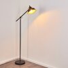 LUVEN Floor Lamp gold, black, black-gold, 1-light source