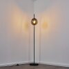 Agropoli Floor Lamp black, 1-light source