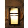 Eglo Park outdoor wall light glass, white, 1-light source
