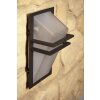 Eglo Park outdoor wall light glass, white, 1-light source
