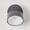 SCHELDE Outdoor Wall Light LED anthracite, 1-light source