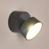 SCHELDE Outdoor Wall Light LED anthracite, 1-light source