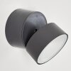 SCHELDE Outdoor Wall Light LED anthracite, 1-light source
