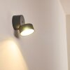 SCHELDE Outdoor Wall Light LED anthracite, 1-light source