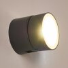 SCHELDE Outdoor Wall Light LED anthracite, 1-light source