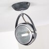 FOVERUP Ceiling Light chrome, grey, 1-light source