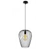 Eglo NEWTOWN pendant light black, 1-light source