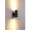 Globo LED outdoor wall light black, 2-light sources
