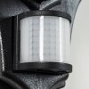 ESTELI Outdoor Wall Light black, 1-light source, Motion sensor