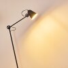 Pany Floor Lamp black, 1-light source