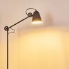 Pany Floor Lamp black, 1-light source