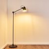 Pany Floor Lamp black, 1-light source