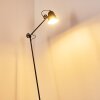 Pany Floor Lamp black, 1-light source