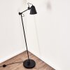 Pany Floor Lamp black, 1-light source