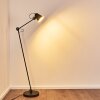 Pany Floor Lamp black, 1-light source