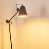 Pany Floor Lamp black, 1-light source