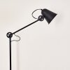 Pany Floor Lamp black, 1-light source