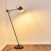 Pany Floor Lamp black, 1-light source