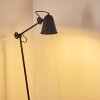 Pany Floor Lamp black, 1-light source
