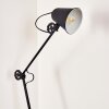 Pany Floor Lamp black, 1-light source