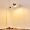 Pany Floor Lamp black, 1-light source