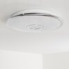 Jamton Ceiling Light LED chrome, 1-light source, Remote control