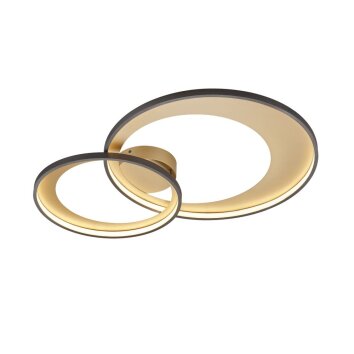 Ceiling Light Trio Leuchten GRANADA LED black, 1-light source