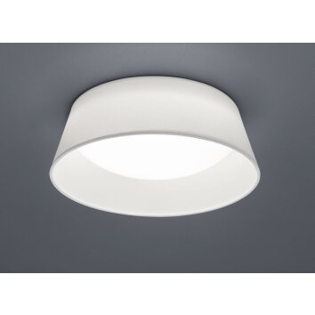 Reality PONTS Ceiling light LED white, 1-light source
