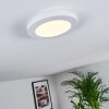 SIGUNA Ceiling Light LED white, 1-light source